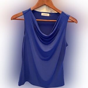 Calvin Klein Sleeveless Blouse, Petite Small, Blue